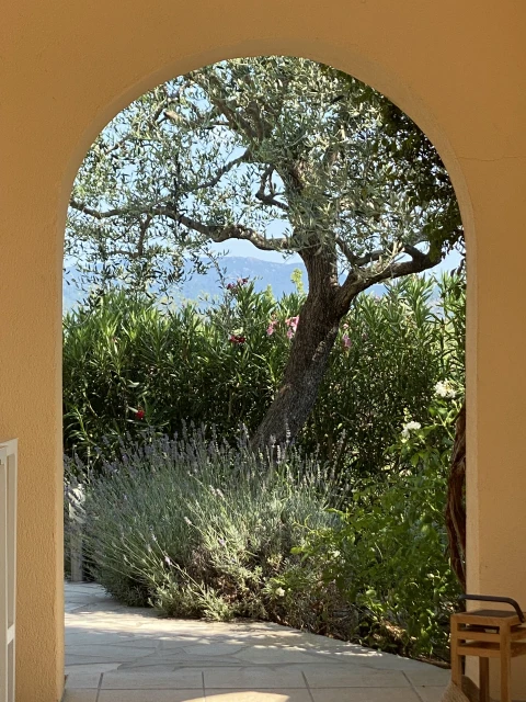 Vakantiehuis in Provence voor 12 personen - La Colline des Maures