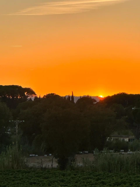 Vakantiehuis in Provence voor 12 personen - La Colline des Maures