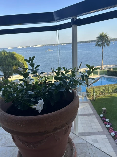 Holiday home in French Riviera for 4 people - La Croisette