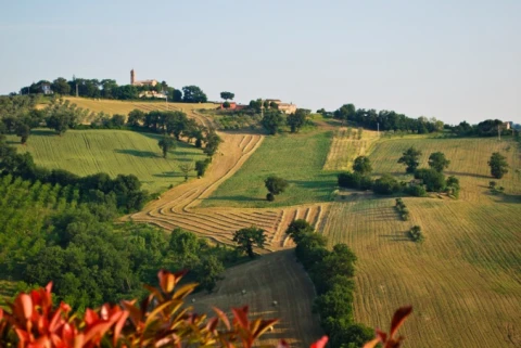 La Lavagna, vakantiehuisVilla, Le Marche, people: 8