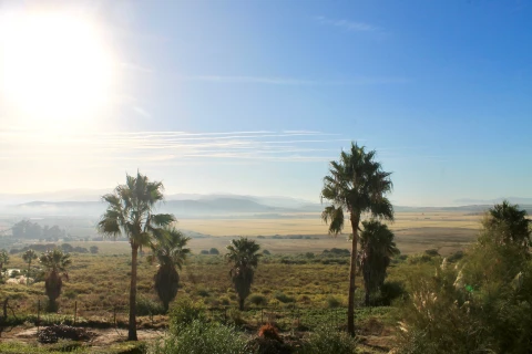 La Luz, Vakantiehuis, Costa De La Luz, people: 8