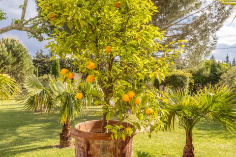 La Maison d'Agathe, Vakantiehuis, Provence, people: 6