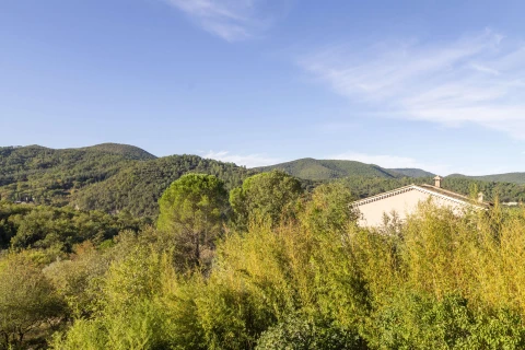 La Maison des Chataigniers, Vakantiehuis, Languedoc-Roussillon, people: 6