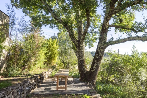 La Maison des Chataigniers, Vakantiehuis, Languedoc-Roussillon, people: 6