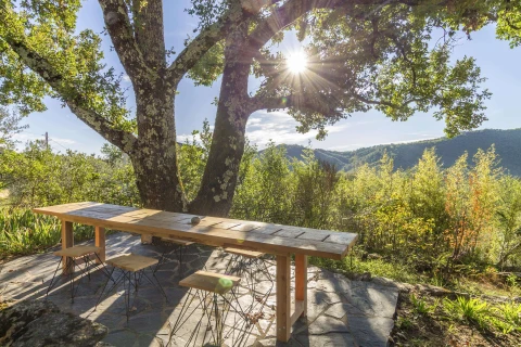La Maison des Chataigniers, Vakantiehuis, Languedoc-Roussillon, people: 6