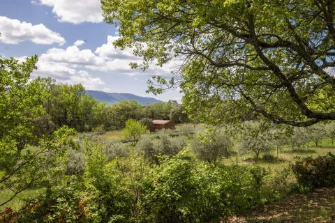 La Maison du Grand Chêne, Vakantiehuis, Provence, people: 6