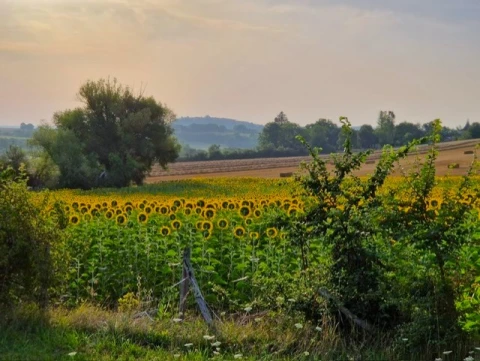 La Noisette, Vakantiehuis, Dordogne / Nouvelle-Aquitaine, people: 8