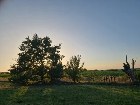 La Noisette, Vakantiehuis, Dordogne / Nouvelle-Aquitaine, people: 8