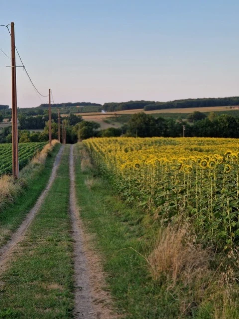 La Noisette, vakantiehuisVilla, Dordogne / Nouvelle-Aquitaine, people: 8