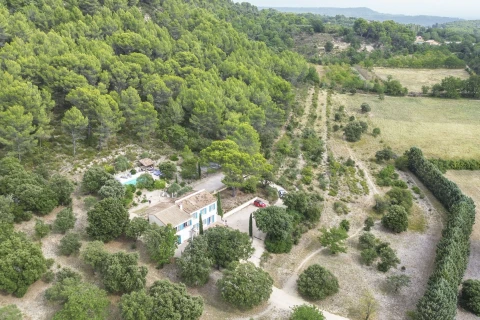 La petite Olive, Vakantiehuis, Provence, people: 8