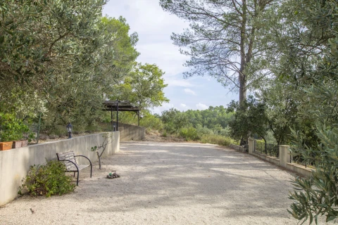 La petite Olive, Vakantiehuis, Provence, people: 8