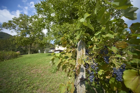 La Pradasella, vakantiehuisVilla, Comomeer, people: 10