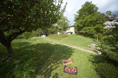 La Pradasella, vakantiehuisVilla, Comomeer, people: 10