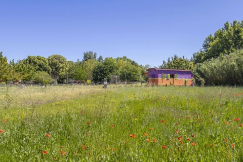 La Roulotte, Vakantiehuis, Provence, people: 2