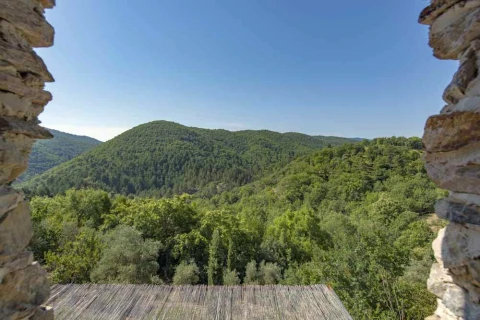 La Serre, Vakantiehuis, Languedoc-Roussillon, people: 8