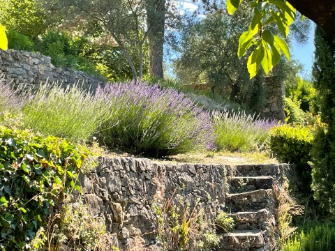 La Serre, Vakantiehuis, Languedoc-Roussillon, people: 8