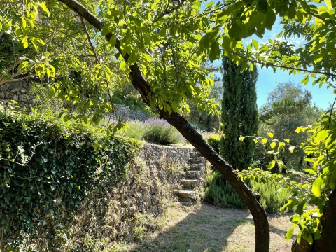 La Serre, Vakantiehuis, Languedoc-Roussillon, people: 8
