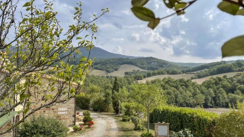 La Sorgente, Vakantiehuis, Toscane, people: 8