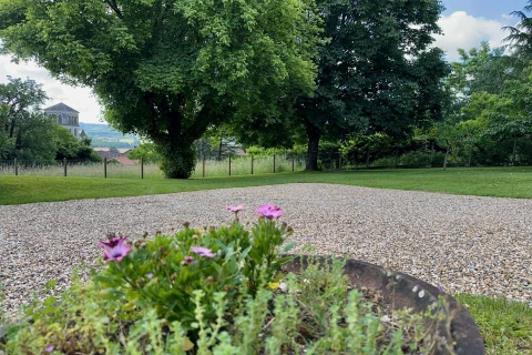 La terrasse, Vakantiehuis, Dordogne / Nouvelle-Aquitaine, people: 6