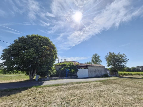 Vakantiehuis in Dordogne / Nouvelle-Aquitaine voor 12 personen - La Vida Parra y Castagna