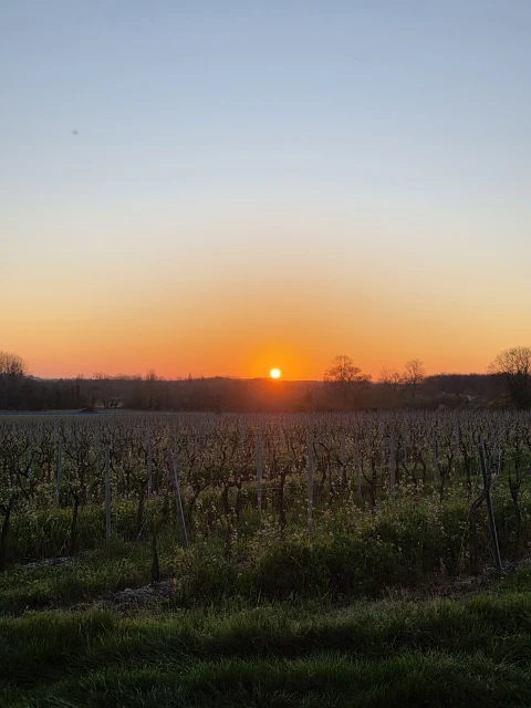 Vakantiehuis in Dordogne / Nouvelle-Aquitaine voor 8 personen - Le Clos des Vignes