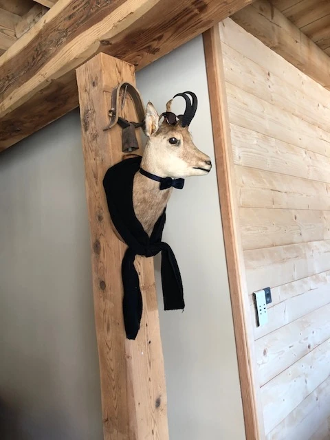 Le Forest Arto, Vakantiehuis, Provence, people: 6