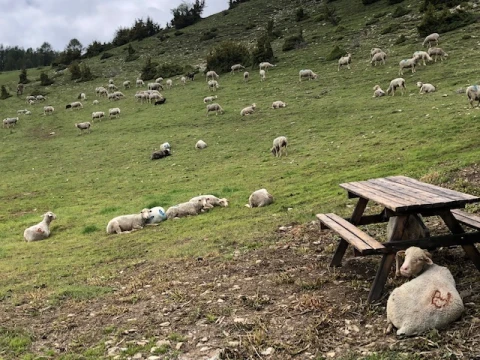 Le Forest Arto, Vakantiehuis, Provence, people: 6