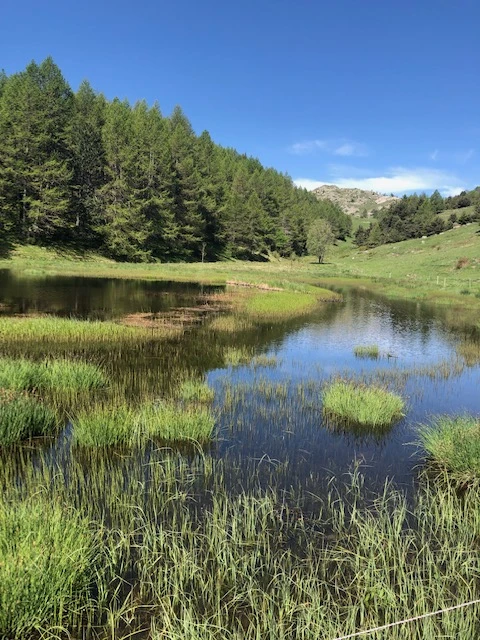 Le Forest Arto, Vakantiehuis, Provence, people: 6