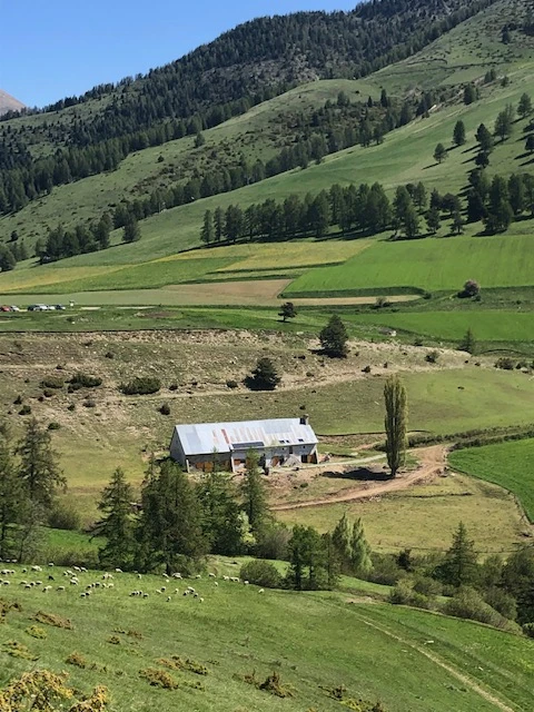 Le Forest Arto, Vakantiehuis, Provence, people: 6