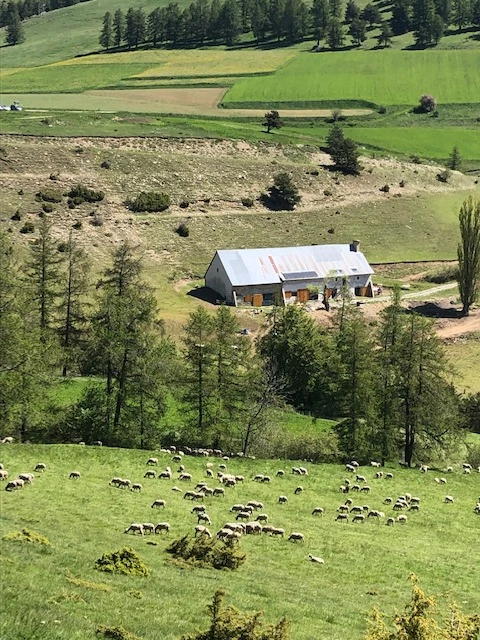 Le Forest Arto, Vakantiehuis, Provence, people: 6