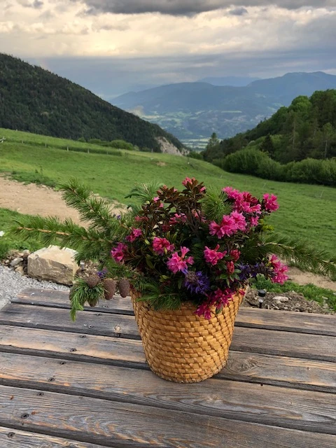 Le Forest Arto, Vakantiehuis, Provence, people: 6