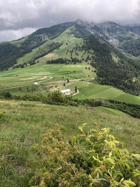 Le Forest Arto, Vakantiehuis, Provence, people: 6