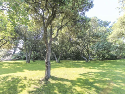 Le Jardin des Chênes, Vakantiehuis, Provence, people: 8