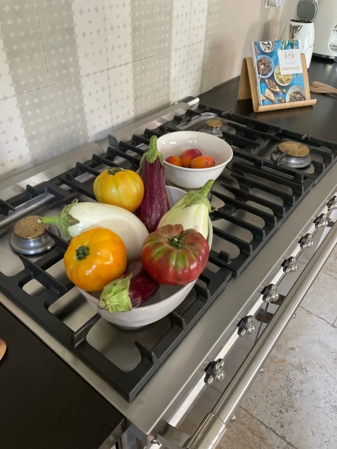 Le Jardin du Luberon, Vakantiehuis, Provence, people: 10