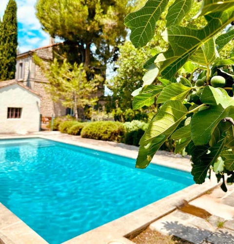 Le Mas de Jackie, Vakantiehuis, Provence, people: 9