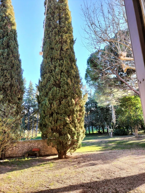 Le Mas de Jackie, Vakantiehuis, Provence, people: 9