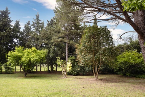 Le Mas de Jackie, Vakantiehuis, Provence, people: 9