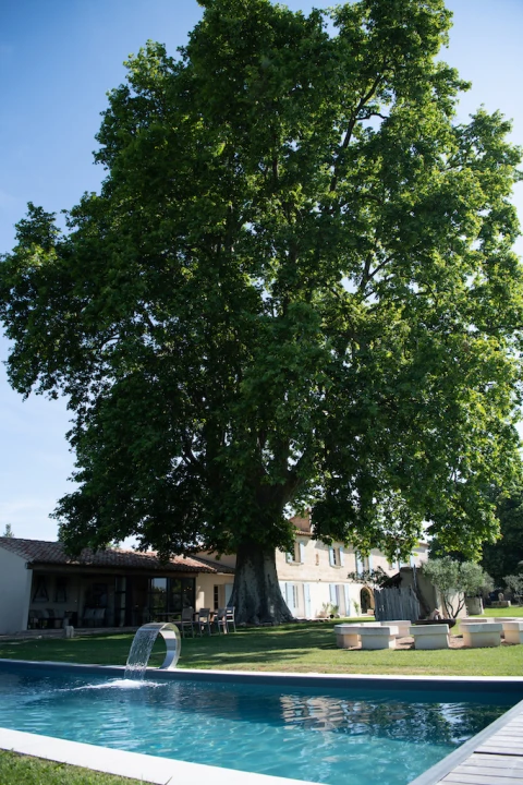 Maison de vacances en Provence pour 12 personnes - Le mas d'Images
