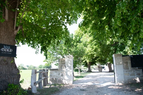 Maison de vacances en Provence pour 12 personnes - Le mas d'Images