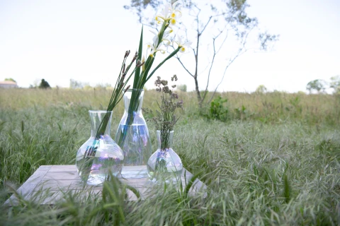 Maison de vacances en Provence pour 12 personnes - Le mas d'Images
