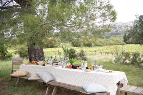 Maison de vacances en Provence pour 12 personnes - Le mas d'Images