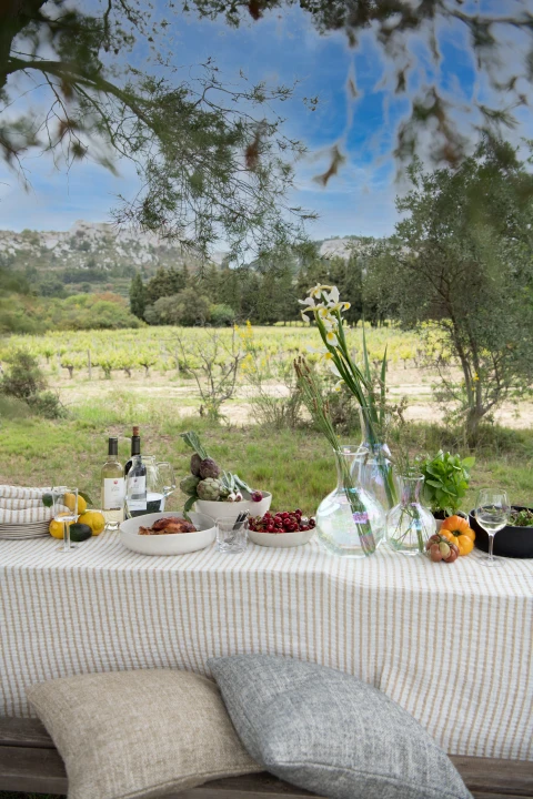 Maison de vacances en Provence pour 12 personnes - Le mas d'Images