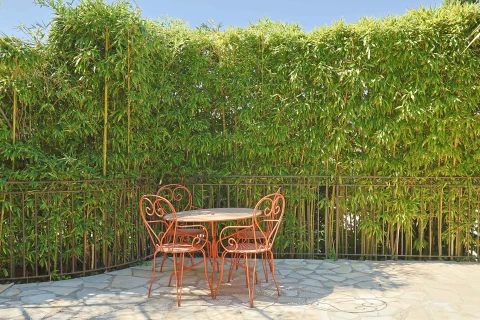 Vakantiehuis in Provence voor 12 personen - Le mas du Moulin