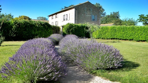 Holiday home in Provence for 15 people - Le Moulin de Bourdon