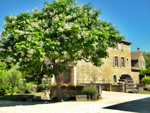 Holiday home in Provence for 15 people - Le Moulin de Bourdon