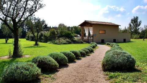 Holiday home in Provence for 15 people - Le Moulin de Bourdon