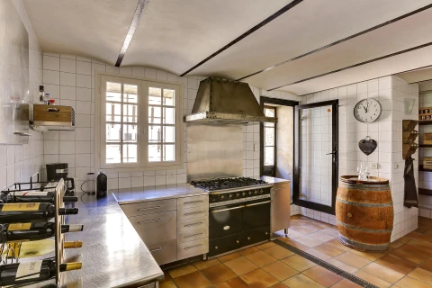 Holiday home in Provence for 15 people - Le Moulin de Bourdon