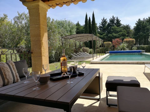 Holiday home in Provence for 15 people - Le Moulin de Bourdon