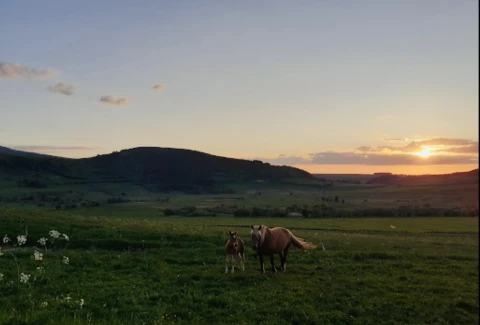 Le Nid de Chantoisel, Vakantiehuis, Ardeche, people: 12