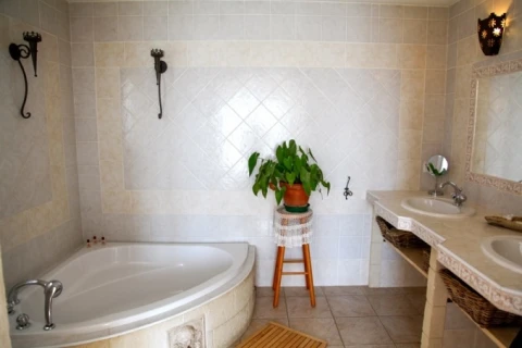 Le paradis en Provence, vakantiehuisVilla, Provence, people: 8